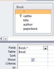 Choosing all fields of the Book table using the asterisk symbol