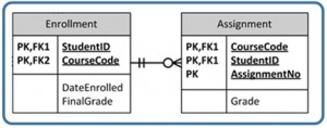 Ch-14-Enrollment-to-Assignment-300x118