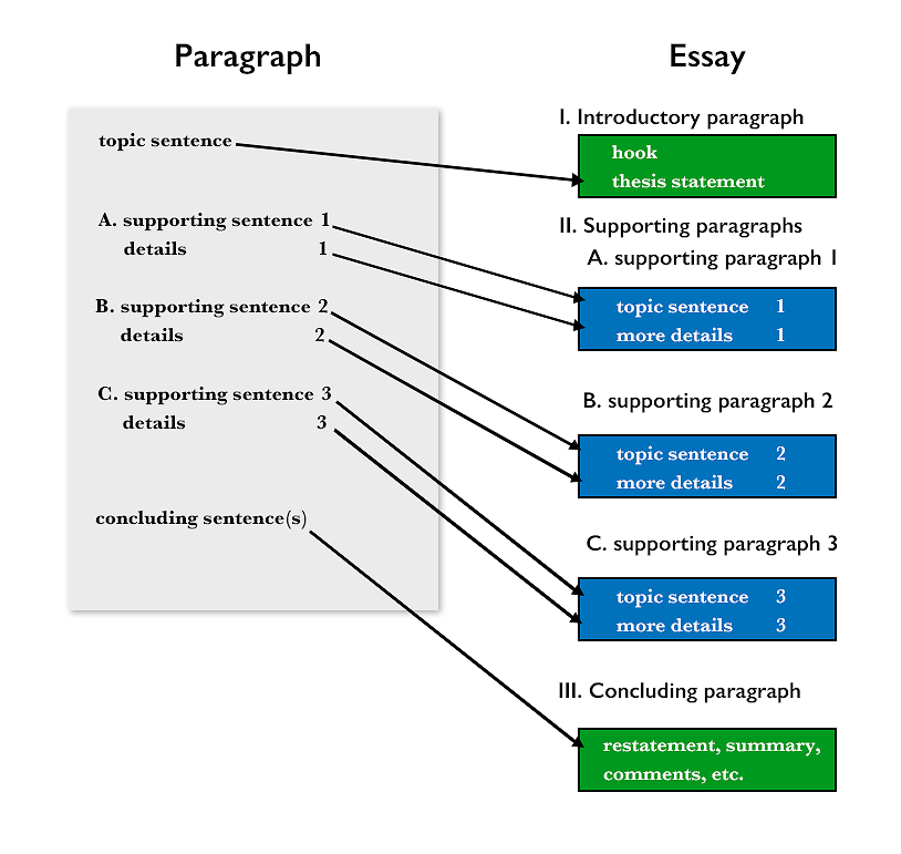 comparing paragraph and essay structures