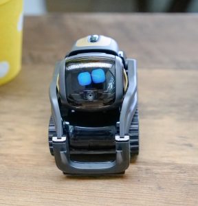 a robot pet toy