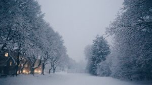 snow-covered trees and houses