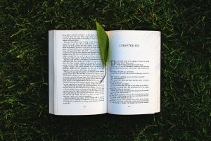 an opened book with a leaf