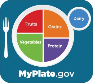 U.S. government new food plate icon
