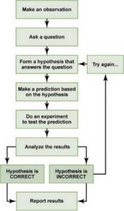 The steps of the scientific method