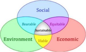 A depiction of the sustainability paradigm
