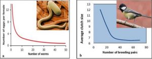 population graphs of snakes vs. birds
