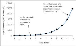A graph of exponential growth in a population