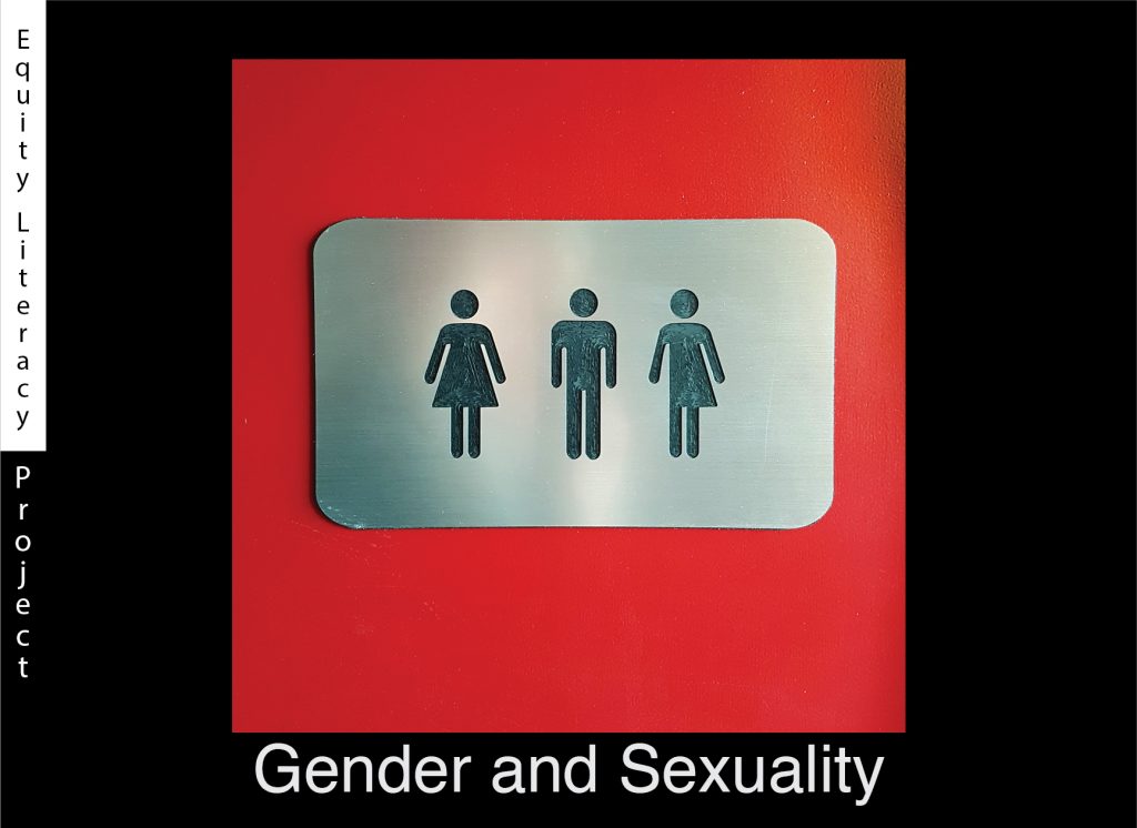 Metal plated restroom sign placed over a red ground. On the metal restroom sign, from left to right, iconography of a female figure with a dress, male figure, and a figure with half female with dress and half male. The words Gender and Sexuality captioned at the bottom with white text.